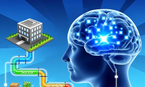 现金流与营运资本管理